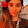 Noushka Taoui