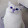 Severov