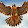 Falcon Buzzard