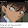 kudo Shinichi