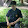 James James Channel