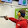 Jon Gamer