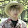 Jung Kookie