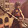 KGT_Smiley 11