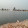 صالح