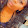Meshia TooCute