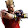 crazyfortekken