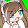 CandyBlossom Gacha