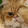 Animals for kids