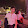 Họa My