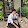 ภูวดล ดวงบุผา