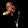 2pac ShakuR