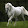 hamza t