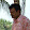 Tasin Quadir