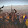 Mount & Blade II : Bannerlord