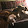 Animals4life 0543257