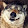 waowolf