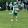 HC Lacrosse