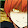 ervas gacha World