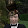 Charles Brobst