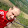 David Rendek