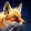 Foxtrot