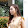 RKM HƯƠNG