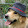 Nora Labrador