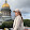 Лекси Оушен