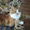 Randome things cats too