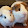 Guinea Pig Train