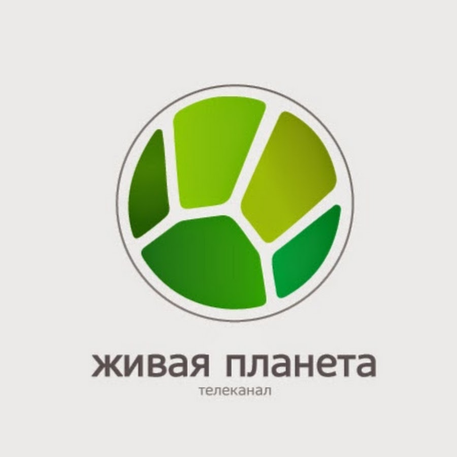 «Живая Планета Телеканал Смотреть Онлайн Прямой Эфир» / 2008