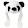 Panda Miranda
