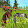Lilou Raid