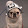Max The SNL Trump Loving Dog