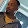 Rayshawn Winbush