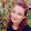 Елена Лепехина