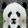 Patatepanda Meh