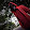 NEU7R4L_EVIL