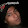 Santosh Roy