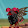 KittenCurry AJ Also Know As Wildvinerose2