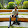 Soushamik Ghosh