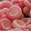 Globule Rouge