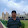 Narayan Acharya