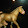 schleich _ Rous