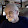 Alan ekrem