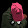 Xenox DARIWIN