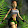 Tomb Raider LC