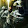 vive Rainbow six siege