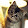 Susy Cat